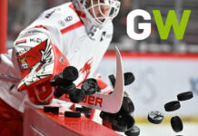 Bojovali, dřeli, ale padli: Oceláři kontra Liberec 3:5