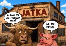 Fajne rano