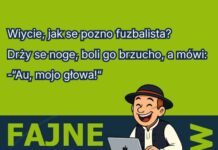 Fajne rano