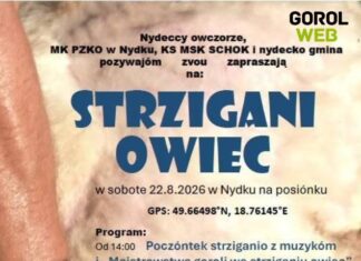 Tradycyjne Strzigani owiec w Nydku już w najbliższą sobotę!